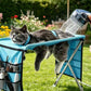 💥⏳Zeitlich begrenztes Angebot: 50% Rabatt⏰🔥2-in-1 Faltbares Haustier-Pflegebett🐱🐶🛋️